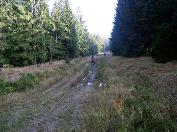 Brdy052.jpg