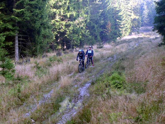 Brdy060.jpg