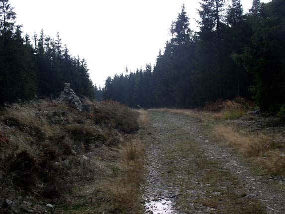 Brdy073.jpg