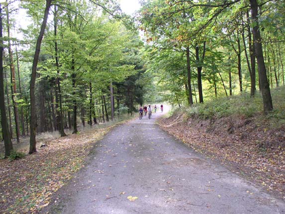 posazavsky drson016.jpg